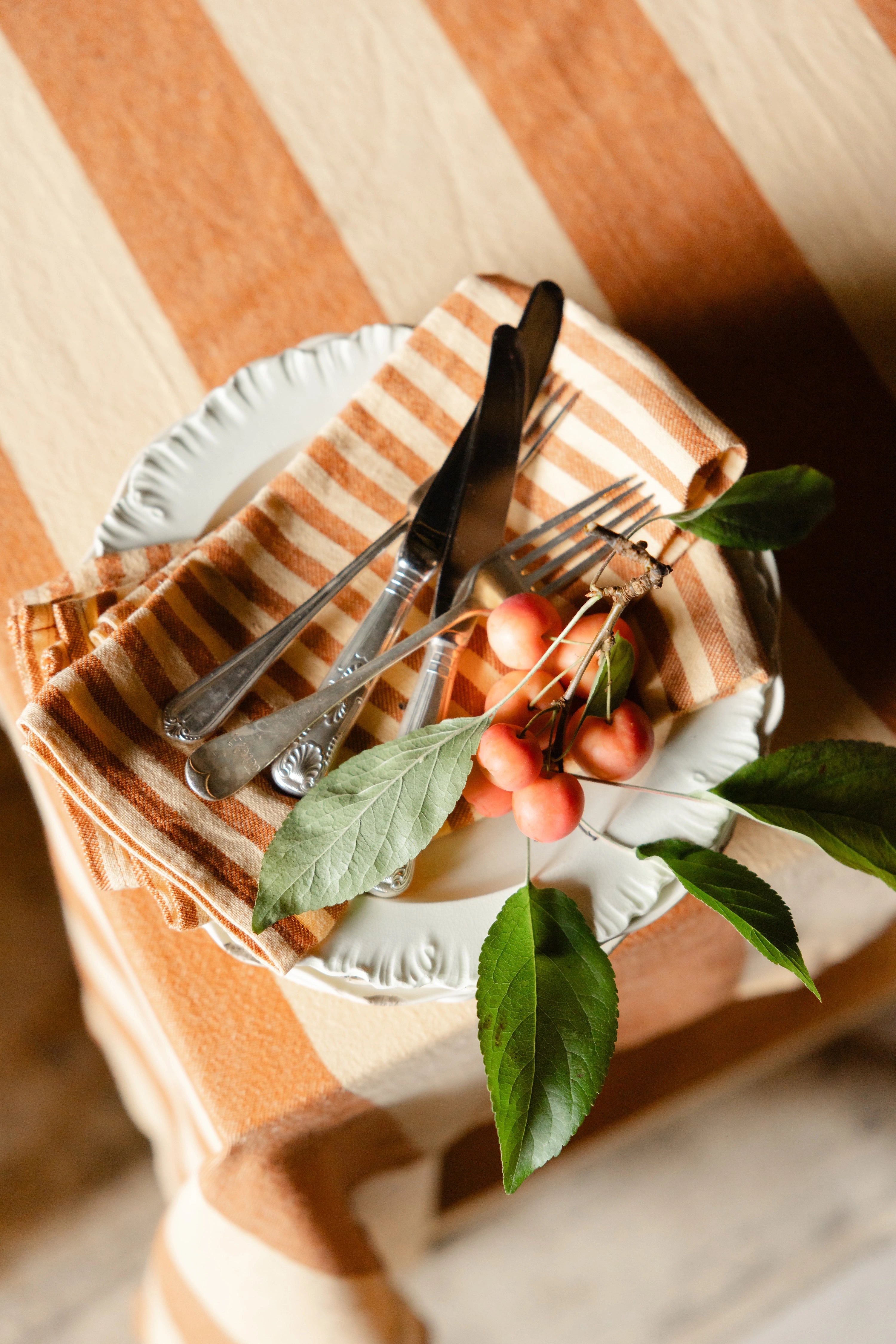 Set of 4 Caramel & Honeycomb Napkins