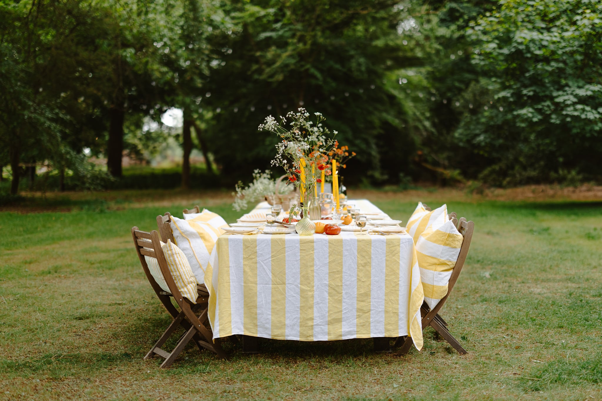 Lemon Grove Collection