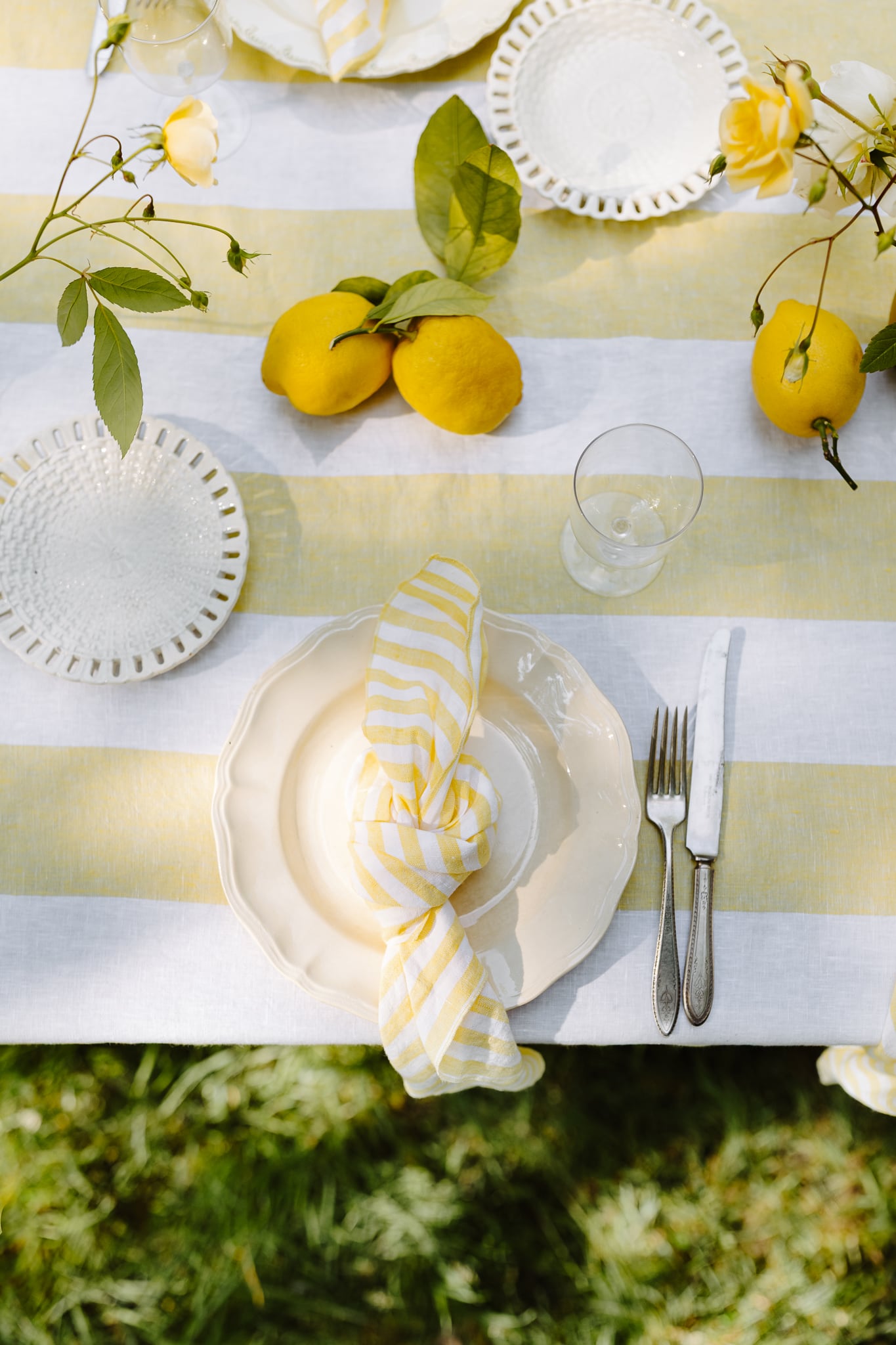 Set of 4 Lemon Grove Napkins