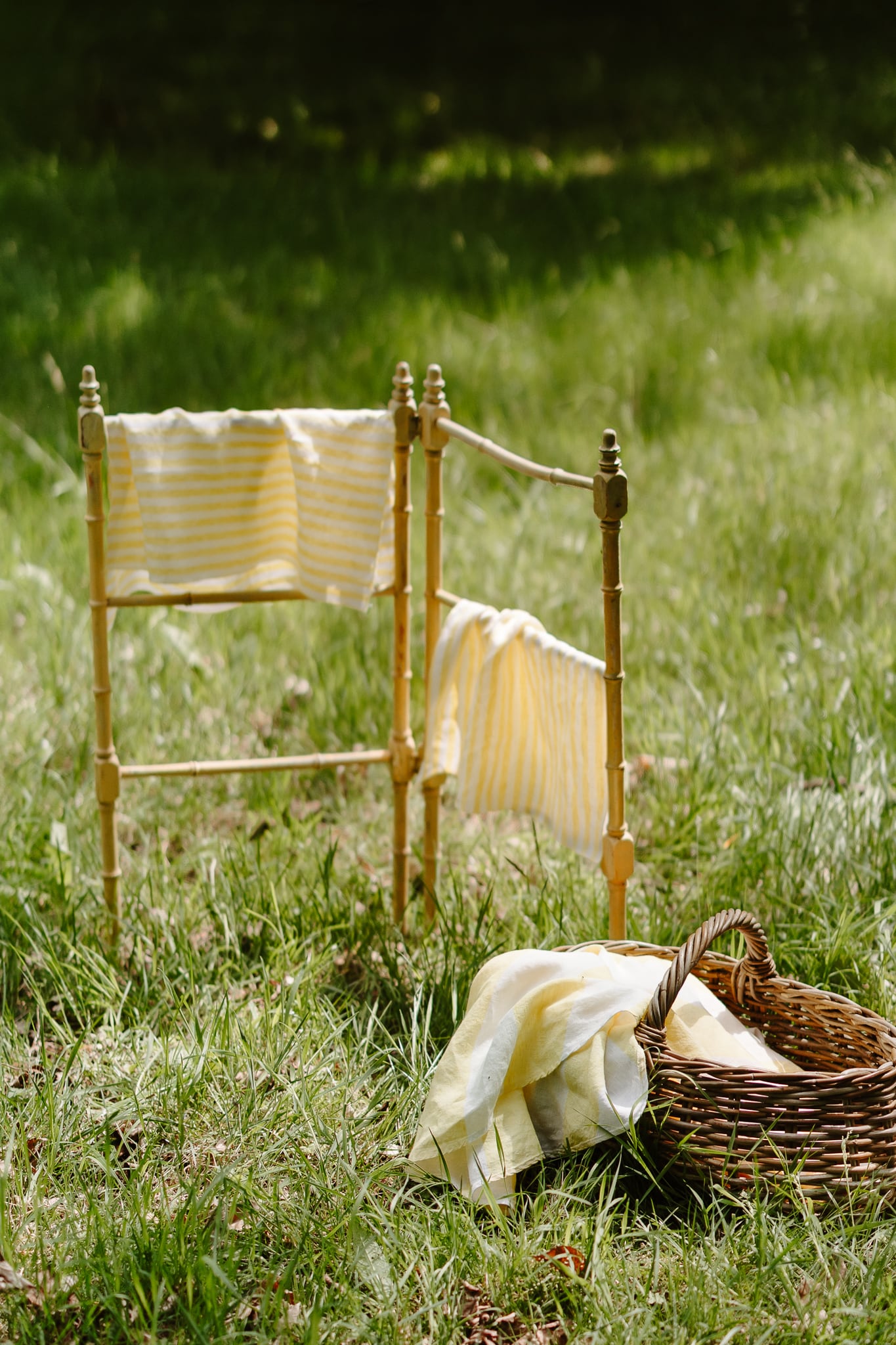 Set of 4 Lemon Grove Napkins