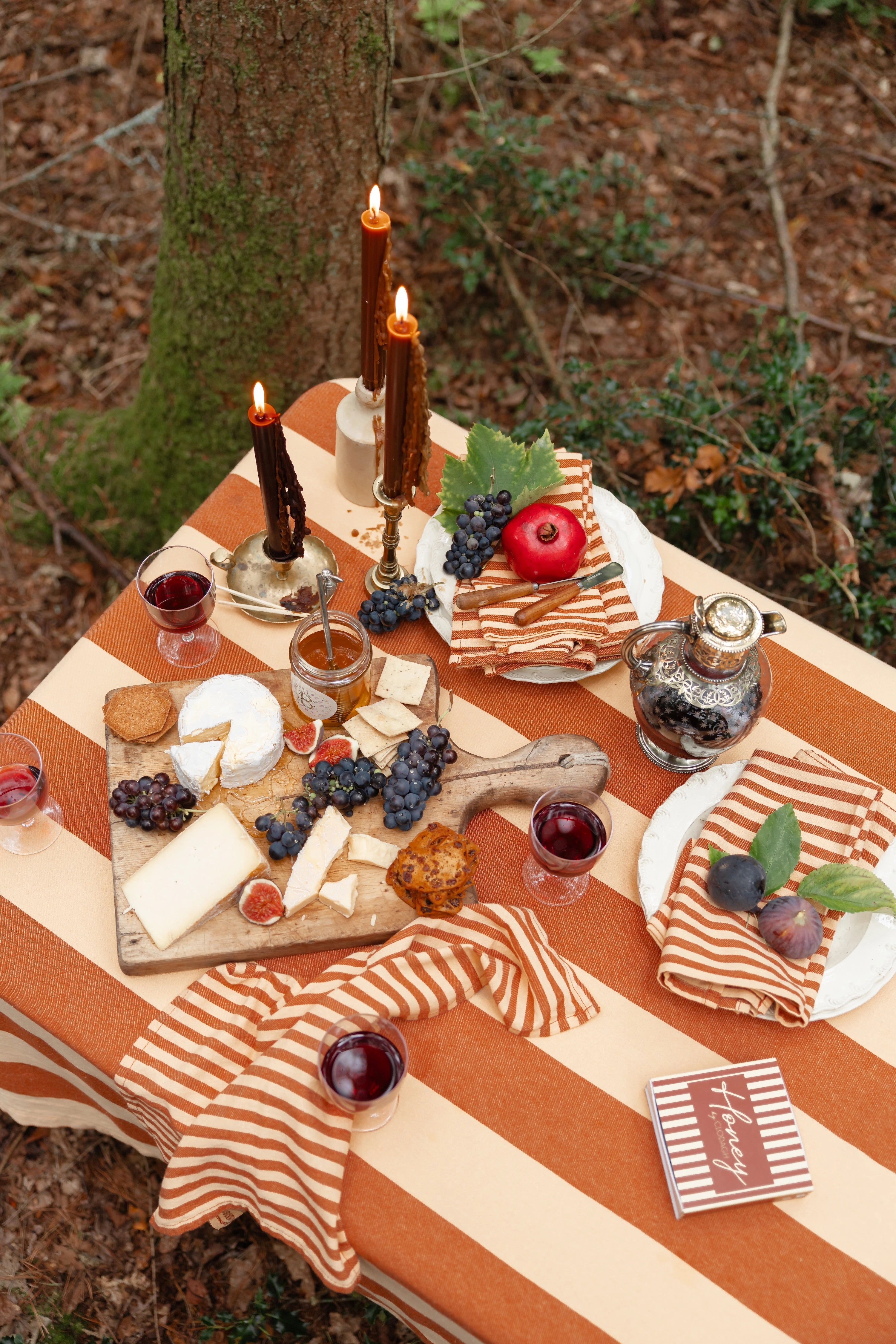 Outdoor setting with a tablecloth, candles, food, and drinks in a natural setting.