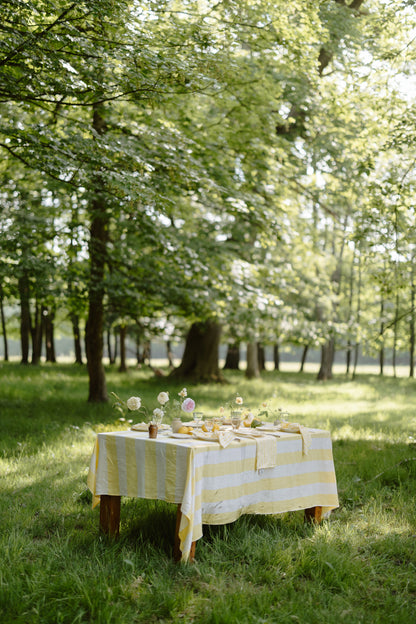 Table set with a yellow and white striped tablecloth in a park setting